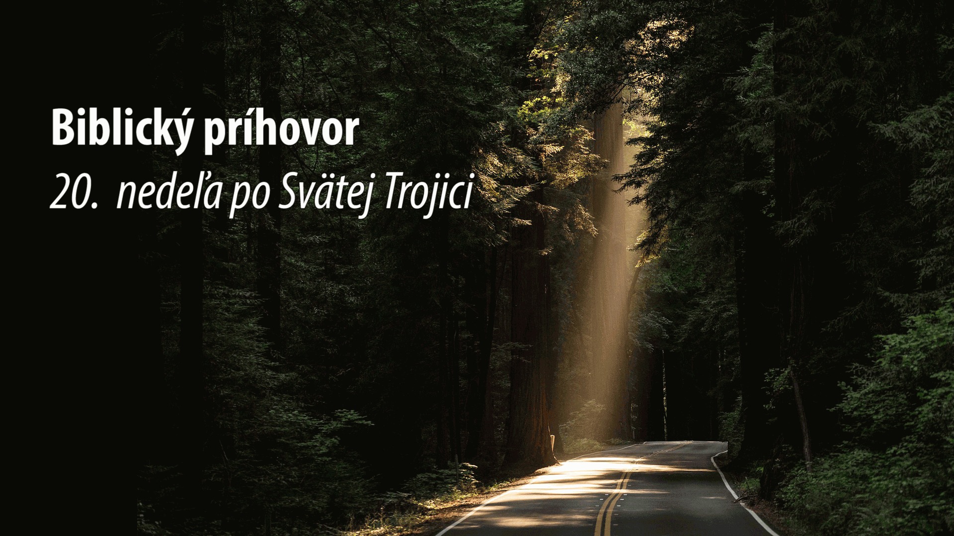 20. nedeľa po Svätej Trojici